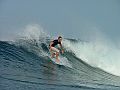 Rob, Mentawai